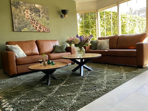 Set van 2 leren banken met houten poten - cognac leer