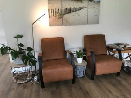 Set van 2 leren fauteuils met stalen frame - bruin leer