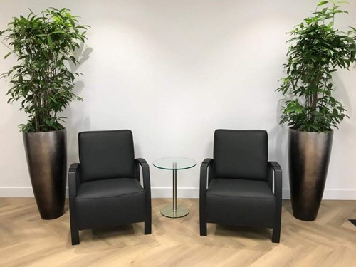 Set van 2 leren fauteuils met stalen frame - zwart leer