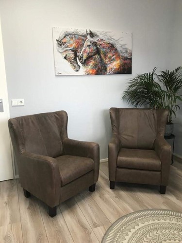 Set van 2 leren oorfauteuils met houten poten - bruin leer