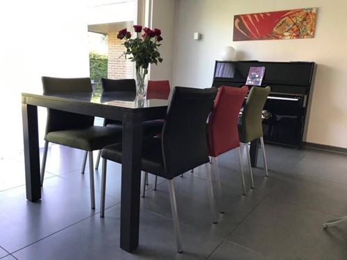 Set van 6 leren eetkamerstoelen - diverse kleuren leer