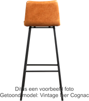 Leren barkruk Catch hoog - Toledo Leer Dessert - RVS-3
