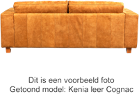 Leren bank Clear, 2.5-zitsbank - Granada leer Sahara - Staal design, Zwart - (204x90cm)-5