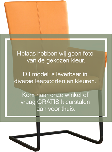 Leren eetkamerstoel Dare - met armleuning en sledepoot vierkant - Kenia Leer Taupe - Poot - RVS