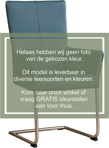 Leren eetkamerstoel Dry - met armleuning en sledepoot rond - Rancho Leer Steel - Poot - RVS