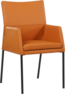 Set van 4 congac kleur leren eetkamerstoelen Kim