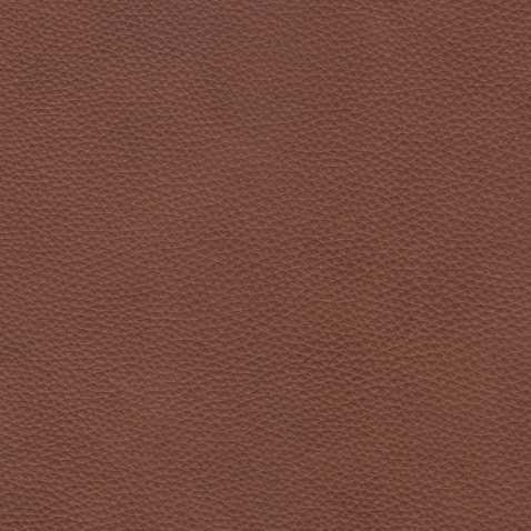 Kleurstalen voor thuis - Elegance Cognac (cognac)