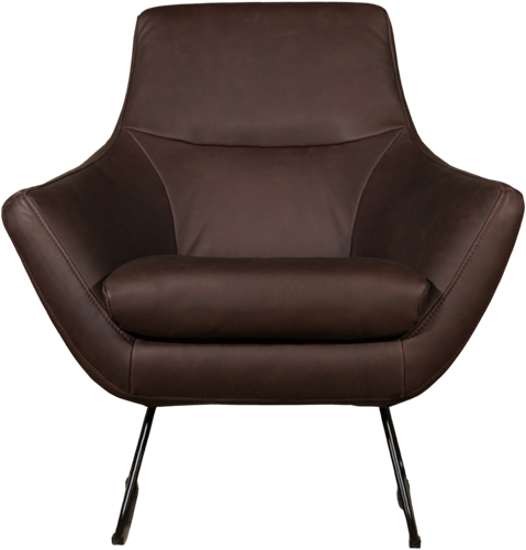 Leren designfauteuil Fame-2