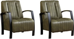 Leren fauteuil glamour, groen leer, groene stoel