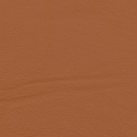 Kleurstalen voor thuis - Hermes Leer Cognac