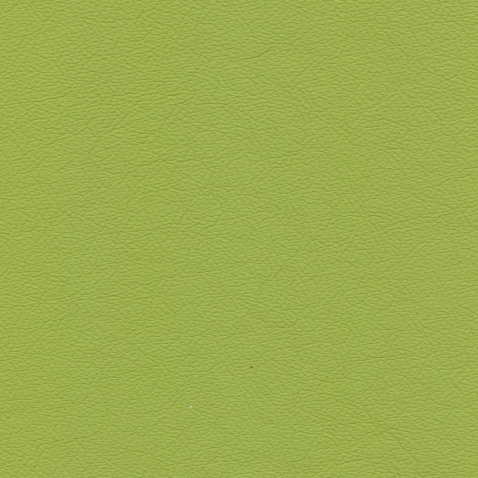 Kleurstalen voor thuis - Hermes Leer Lime
