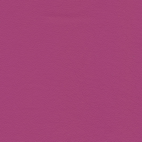 Kleurstalen voor thuis - Hermes Leer Purple