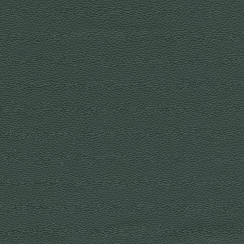 Kleurstalen voor thuis - Hermes Leer Verde