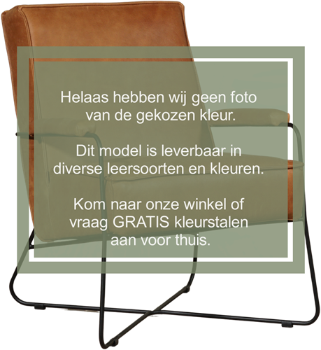 Leren design fauteuil Hope - Toledo Leer Verde