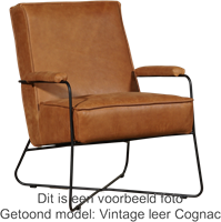 Leren design fauteuil Hope - Toledo Leer Verde-1