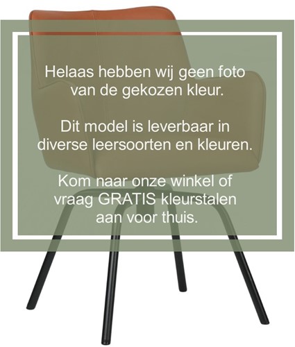 Leren eetkamerstoel Jazz - draaipoot rond frame - Toledo Moss (bruin/groen)