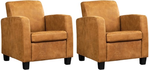 Leren fauteuil Joy - set van 2 fauteuils
