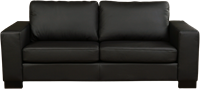 Leren bank Enjoy, 2.5-zitsbank - Toledo Leer Nero - Hout, Zwart - (204x90cm)-2