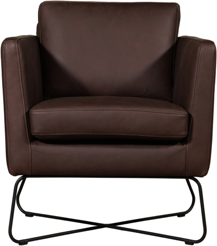 Leren design fauteuil Club-2