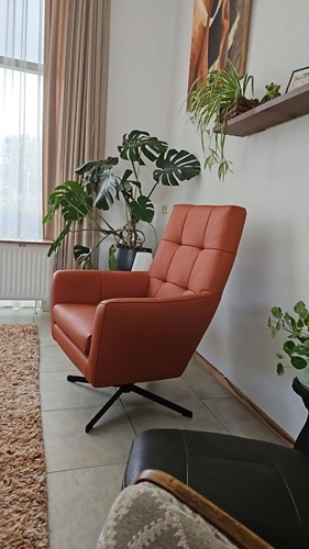 Leren draaifauteuil volledig gestoffeerd - met hoge rug en stervoet - bruin leer