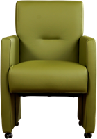 Leren eetkamerfauteuil Pleasure - Toledo Leer Apple Green - Met handgreep-2