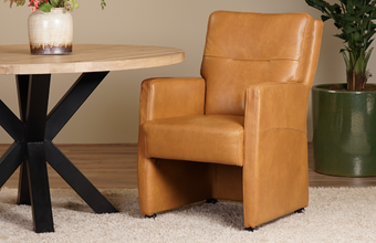 Cat. Eetkamerstoelen - Eetkamerfauteuils
