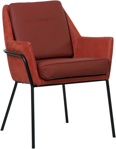 Leren design eetkamerstoel Mix Duo