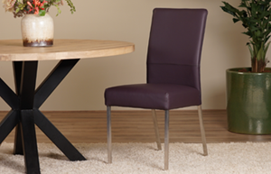 Eetkamerstoelen rvs poten