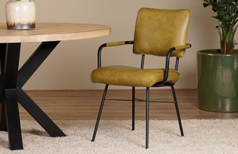 Cat. Eetkamerstoelen - Zonder wieltjes