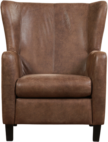 Leren oorfauteuil Hug-2
