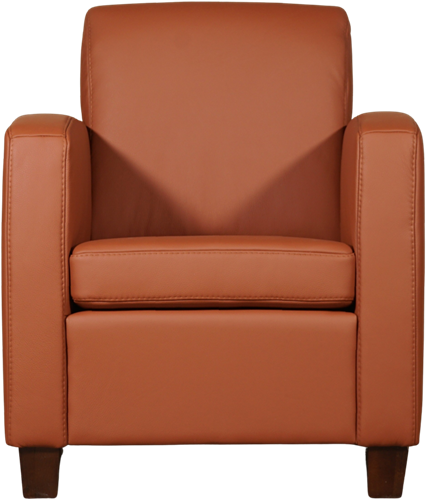 Leren fauteuil Joy - Toledo Leer Natur - Hout zwart-2