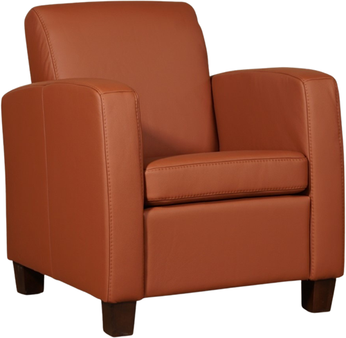 Leren fauteuil Joy - Toledo Leer Natur - Hout zwart