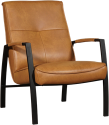 schermutseling straf Raffinaderij Leren fauteuils – in alle stijlen en kleuren verkrijgbaar - ShopX
