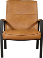 Leren fauteuil Level-2