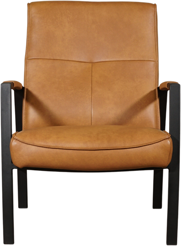 Leren fauteuil Level-2
