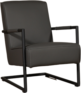 Leren fauteuil lodge 42 grijs, grijs leer, grijze stoel