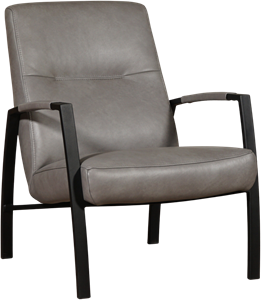 Leren fauteuil lounge 127 grijs, grijs leer, grijze stoel
