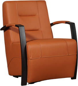 Leren stock fauteuil magnificent 42 bruin, bruin leer, bruine stoel