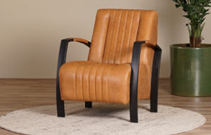 Leren fauteuils met stalen frame