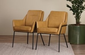 Leren fauteuils set van 2 fauteuils