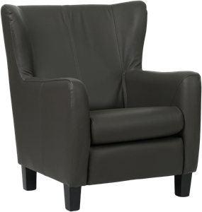 Leren fauteuil hug 159 grijs, grijs leer, grijze stoel
