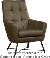 Leren fauteuil Proud - Toledo Leer Mastic-1