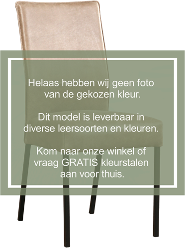 Leren eetkamerstoel Real - Toledo Leer Antracite - Kleur poot, RVS