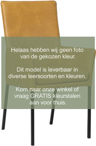 Leren eetkamerstoel Royal - met armleuning - Granada leer Cognac - Poot - RVS