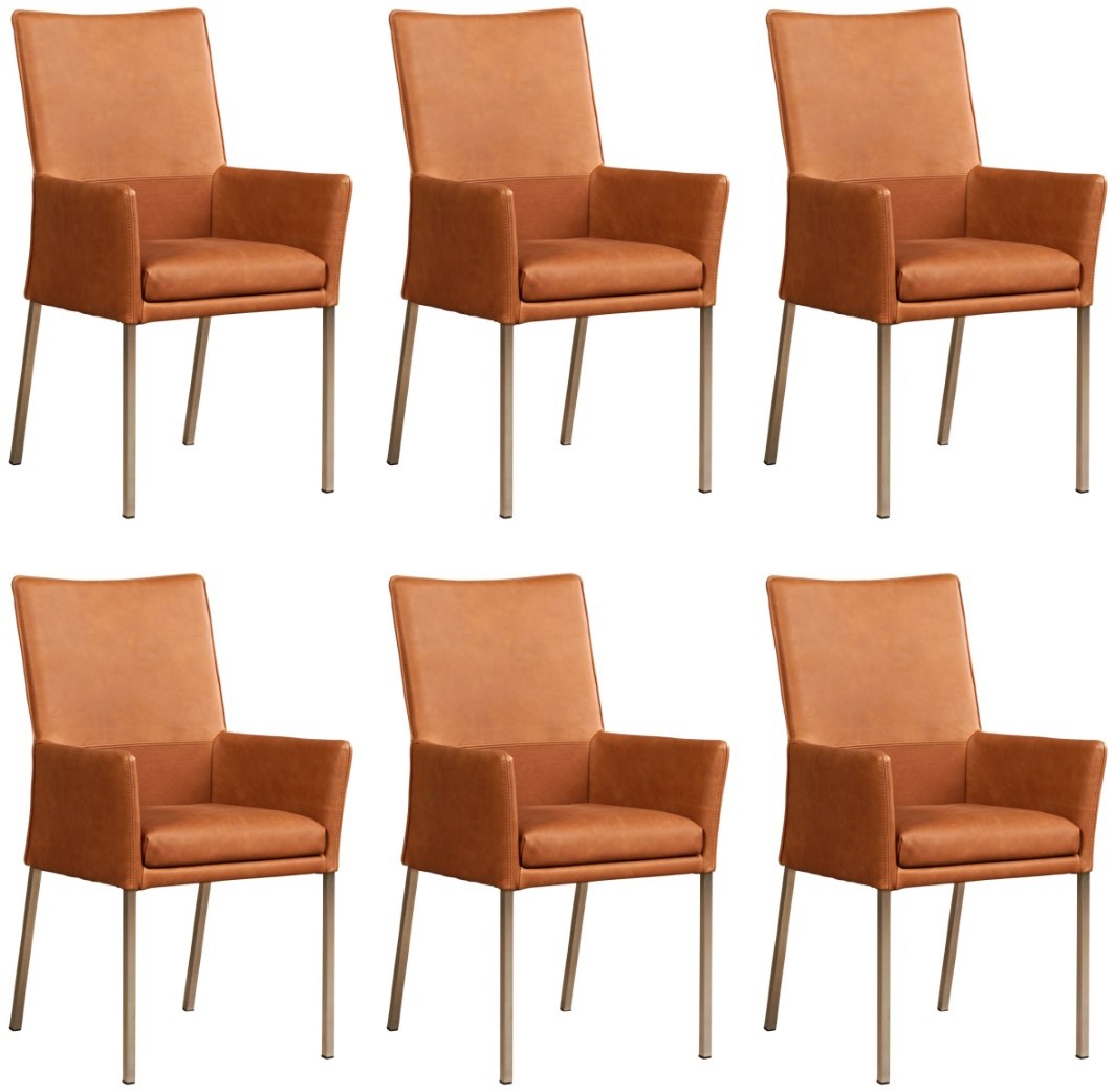 legering Kan worden berekend sectie Leren eetkamerstoel Royal - met armleuning - set van 6 stoelen - Rancho  Leer Cognac - Kleur poot, RVS ShopX