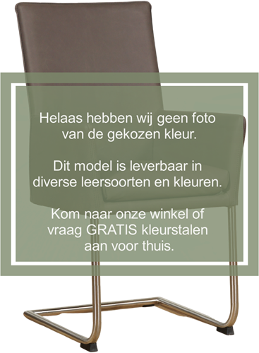 Leren eetkamerstoel Rumor - met armleuning en sledepoot rond - Toledo Perle (lichtgrijs) - Kleur poot, RVS