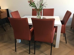 Leren eetkamerstoel royal met armleuning, 120+ kleuren leer, in keukenstoelen
