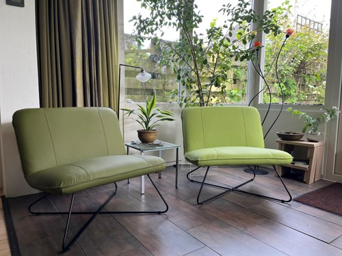 Set van 2 leren fauteuils zonder armleuning met kruisframe - groen leer