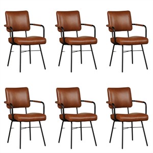 Set van 6 Leren eetkamerstoelen Solid - Met armleuning