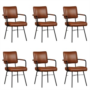 Set van 6 Leren eetkamerstoelen Solid - Met armleuning